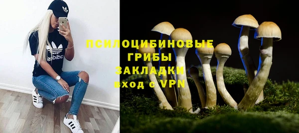 mix Аркадак