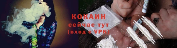 сатива Арсеньев