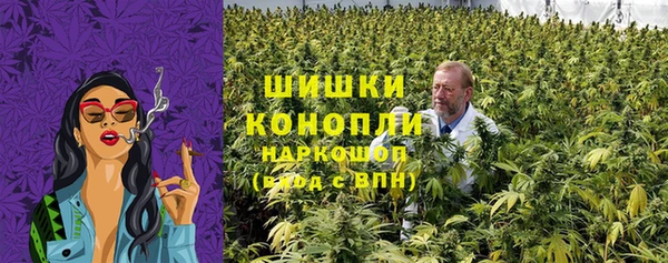 сатива Арсеньев