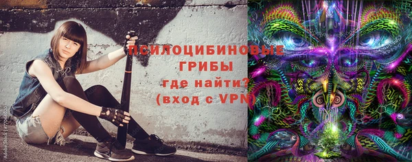 сатива Арсеньев