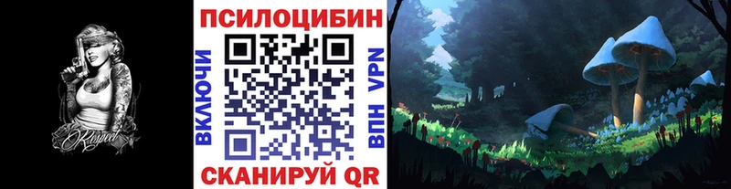 закладка  Теберда  Галлюциногенные грибы мицелий 
